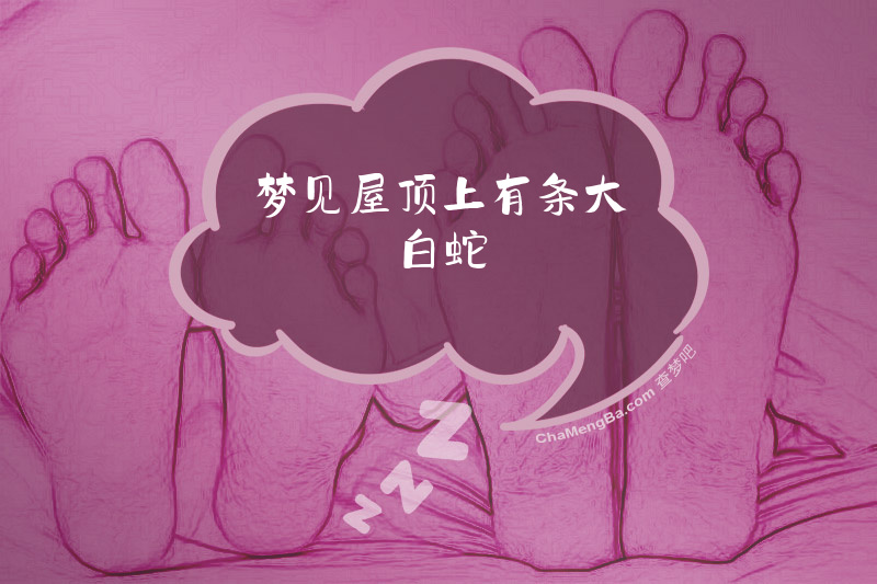 梦见屋顶上有条大白蛇