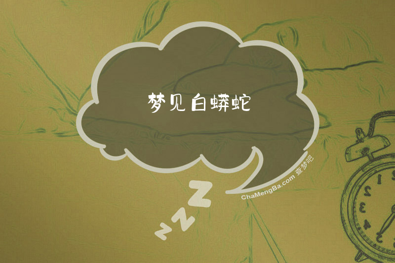 梦见白蟒蛇