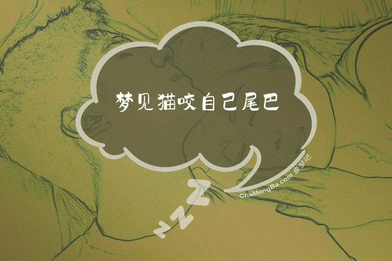 梦见猫咬自己尾巴
