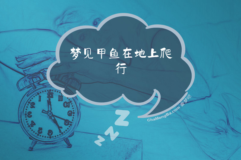 梦见甲鱼在地上爬行