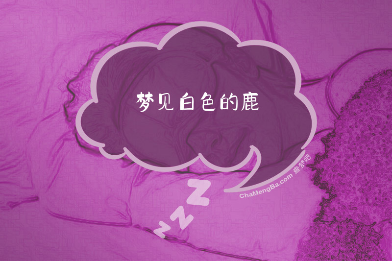 梦见白色的鹿