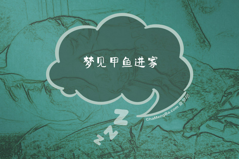 梦见甲鱼进家