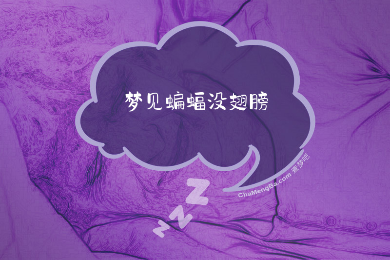梦见蝙蝠没翅膀