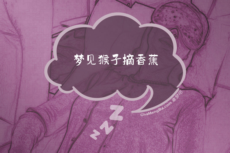梦见猴子摘香蕉