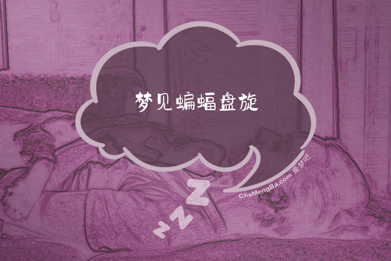 梦见蝙蝠盘旋