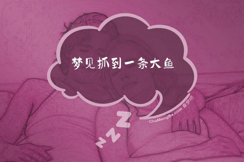 梦见抓到一条大鱼