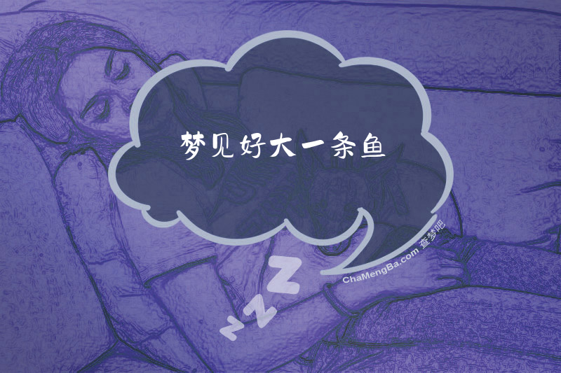 梦见好大一条鱼