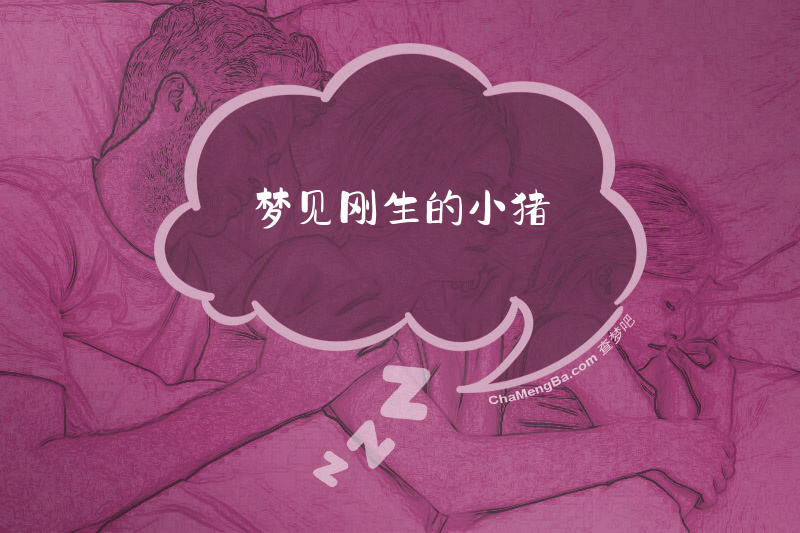 梦见刚生的小猪