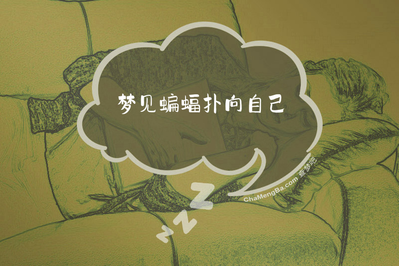 梦见蝙蝠扑向自己