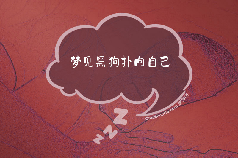 梦见黑狗扑向自己