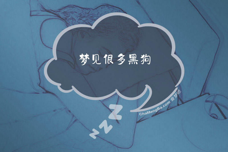 梦见很多黑狗