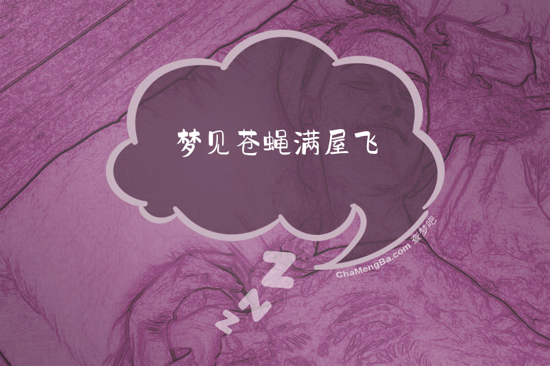 梦见苍蝇满屋飞