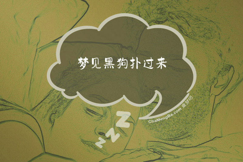 梦见黑狗扑过来