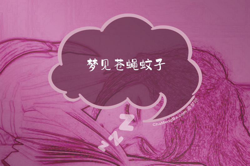 梦见苍蝇蚊子