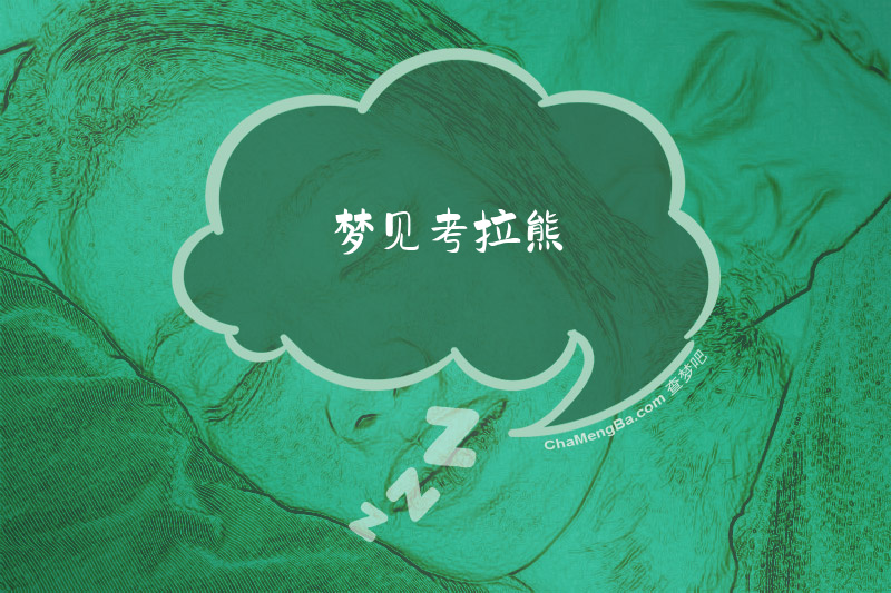 梦见考拉熊