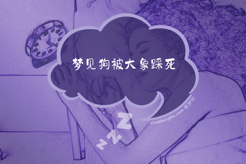 梦见狗被大象踩死