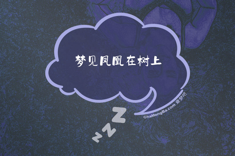 梦见凤凰在树上