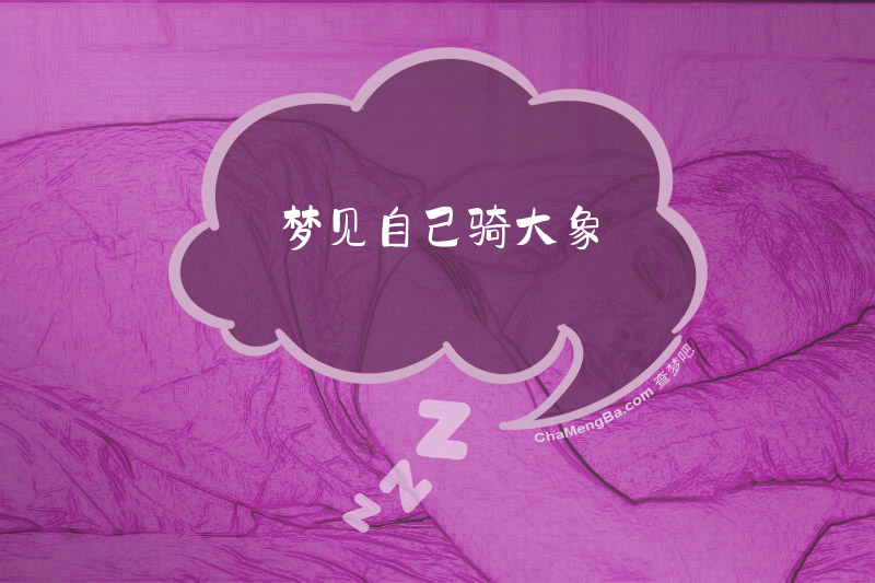 梦见自己骑大象