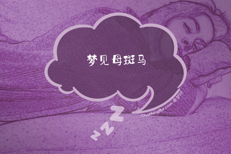 梦见母斑马