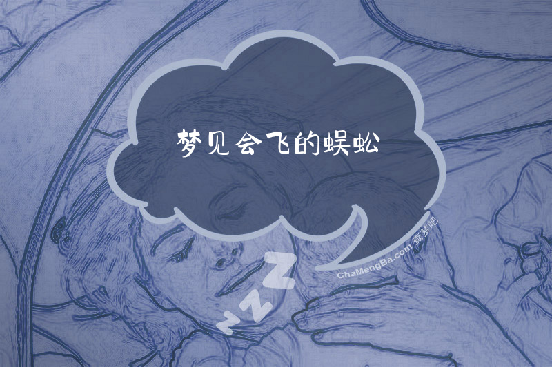 梦见会飞的蜈蚣