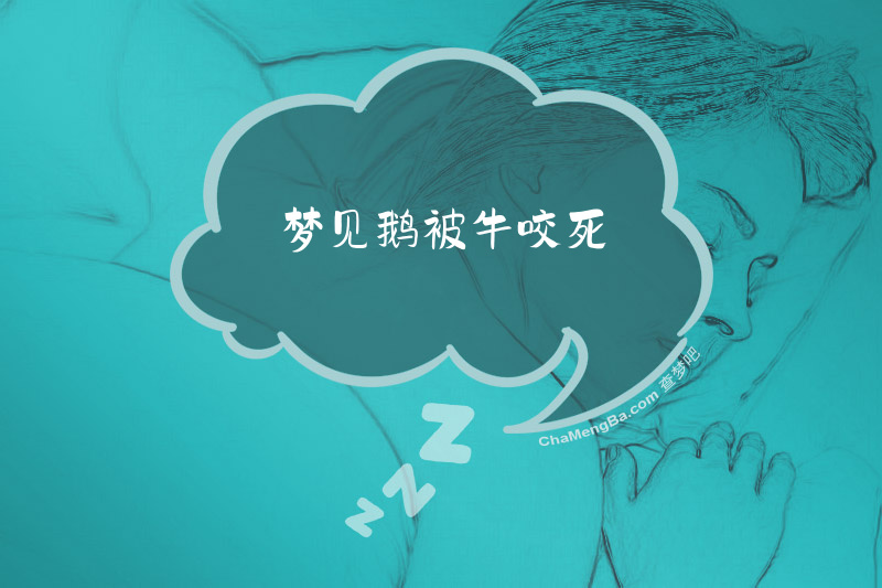 梦见鹅被牛咬死