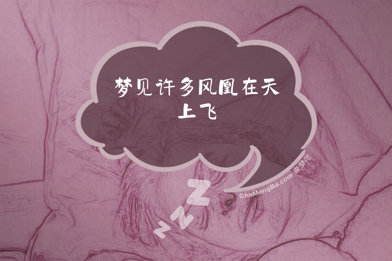 梦见许多风凰在天上飞