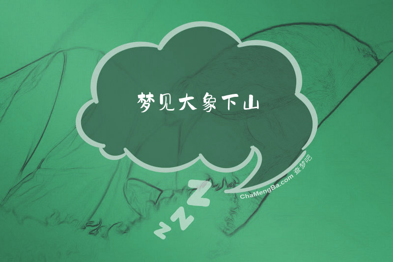 梦见大象下山