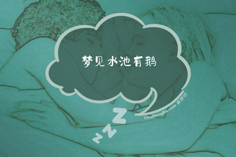 梦见水池有鹅