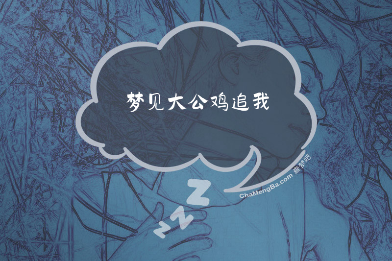 梦见大公鸡追我