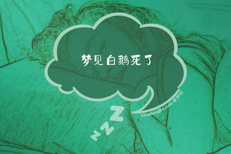 梦见白鹅死了
