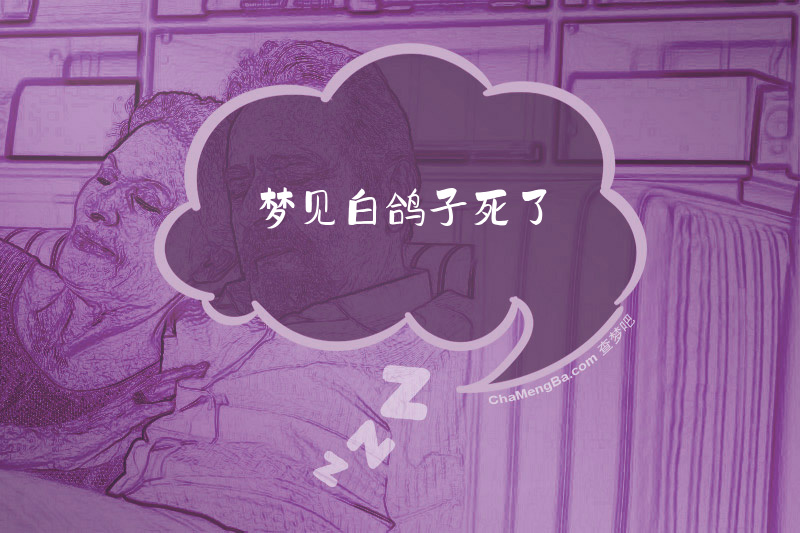 梦见白鸽子死了
