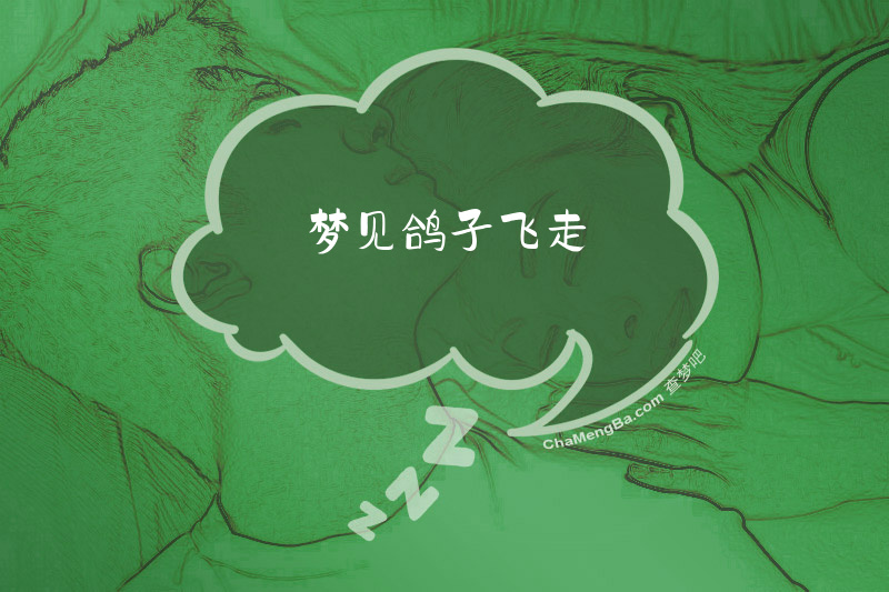 梦见鸽子飞走