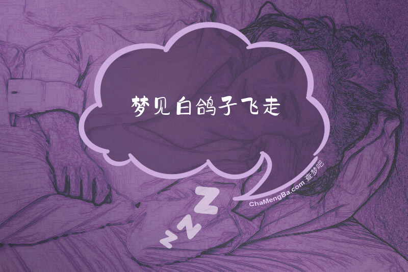 梦见白鸽子飞走