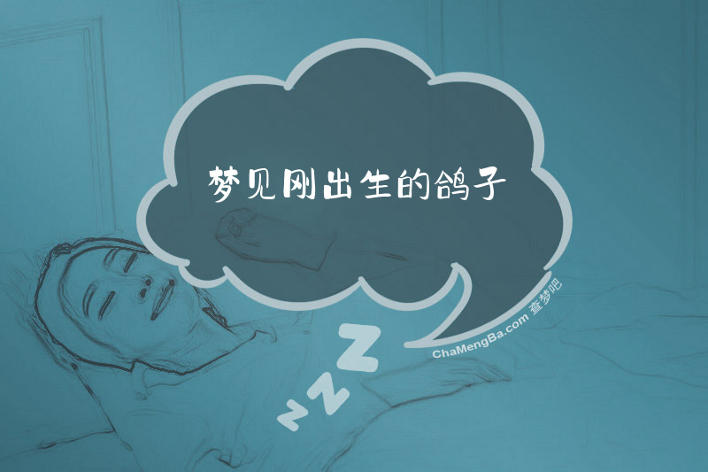 梦见刚出生的鸽子