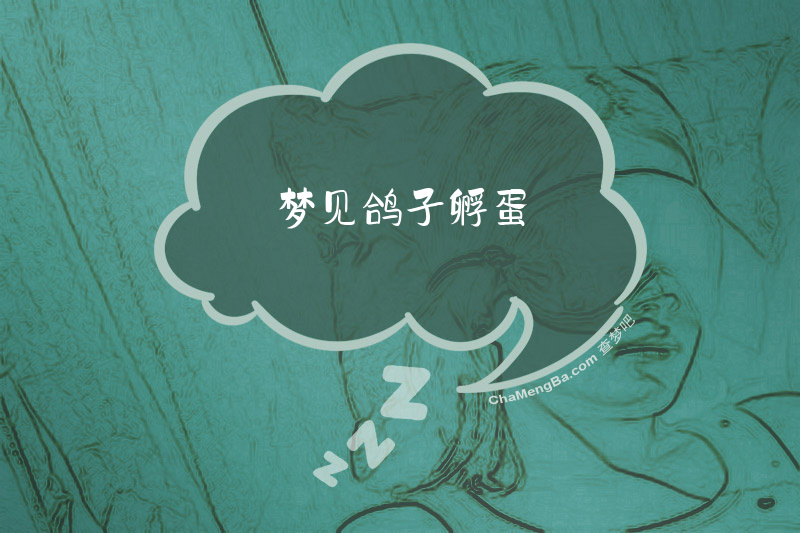 梦见鸽子孵蛋