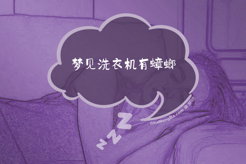 梦见洗衣机有蟑螂