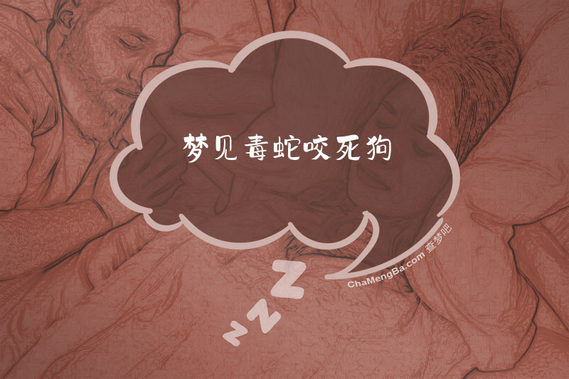 梦见毒蛇咬死狗