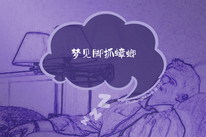 梦见脚抓蟑螂