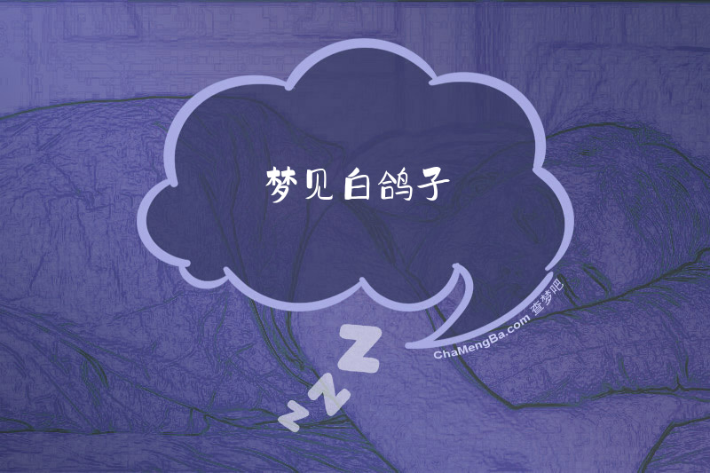 梦见白鸽子