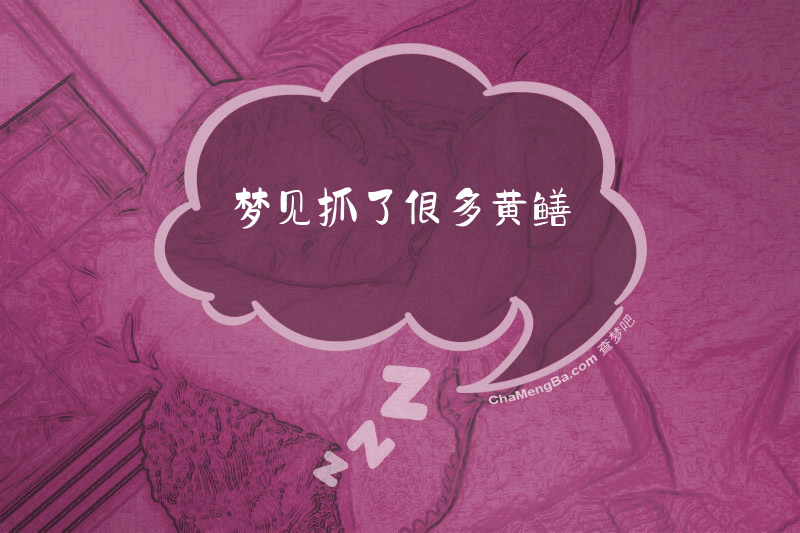 梦见抓了很多黄鳝