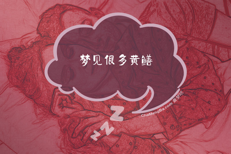 梦见很多黄鳝
