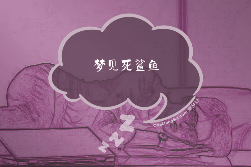 梦见死鲨鱼
