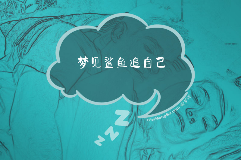 梦见鲨鱼追自己