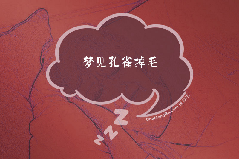 梦见孔雀掉毛