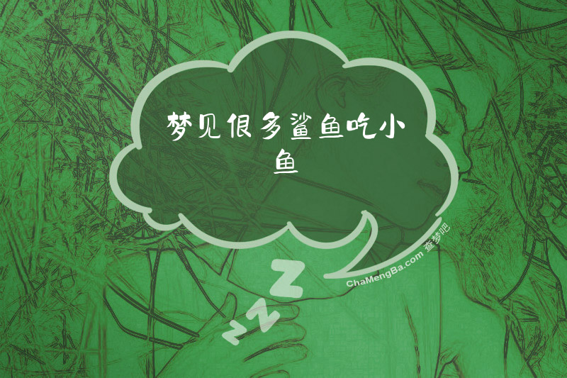 梦见很多鲨鱼吃小鱼