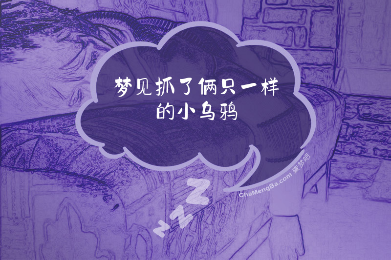 梦见抓了俩只一样的小乌鸦