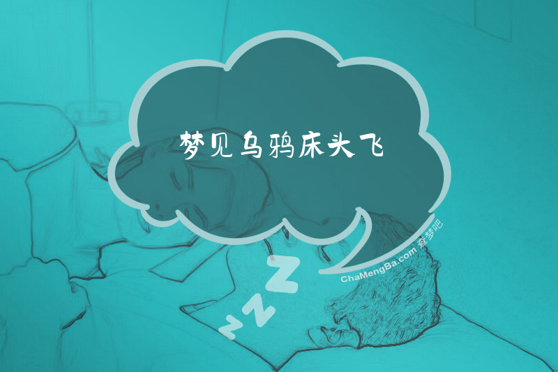梦见乌鸦床头飞