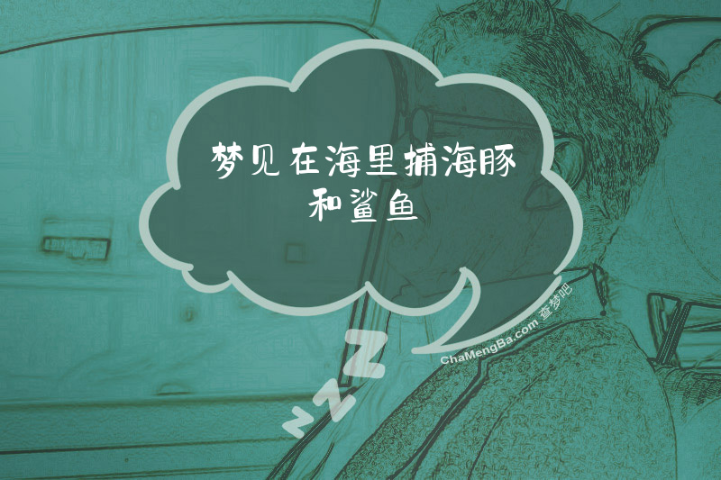 梦见在海里捕海豚和鲨鱼