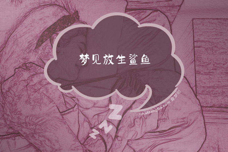 梦见放生鲨鱼