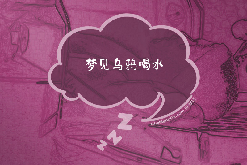 梦见乌鸦喝水
